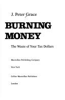 Burning Money: The Waste Of Your Tax Dollars: the waste of your tax dollars