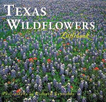 Texas Wildflowers