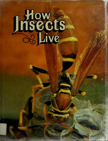 How Insects Live