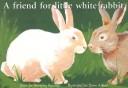 A Friend For Little White Rabbit (New Pm Story Books)