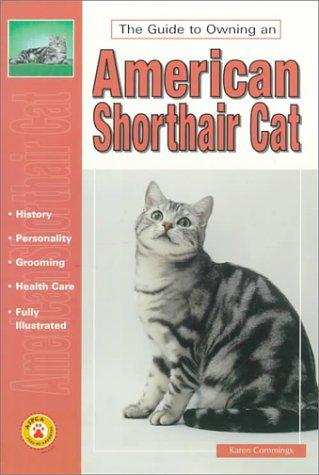 The Guide To Owning An American Shorthair Cat (The Guide To Owning)