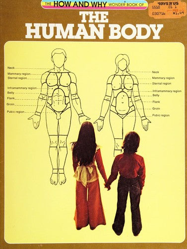 Hw Human Body