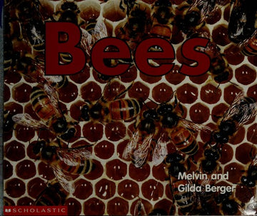 Bees (Time-To-Discover)