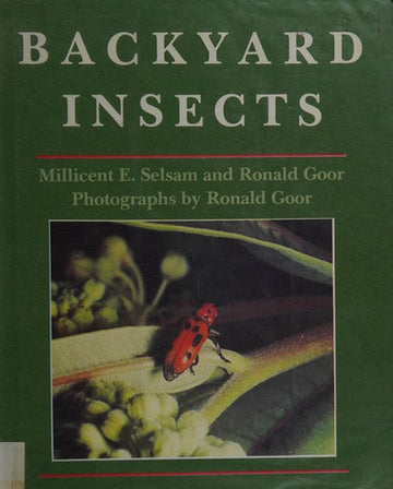 Backyard insects