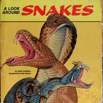 A Look Around Snakes