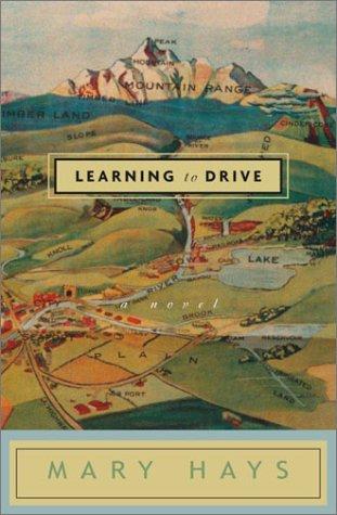 Learning To Drive: A Novel