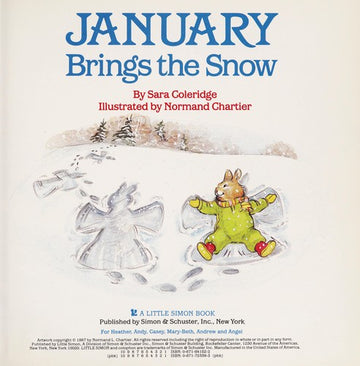 January Brings The Snow