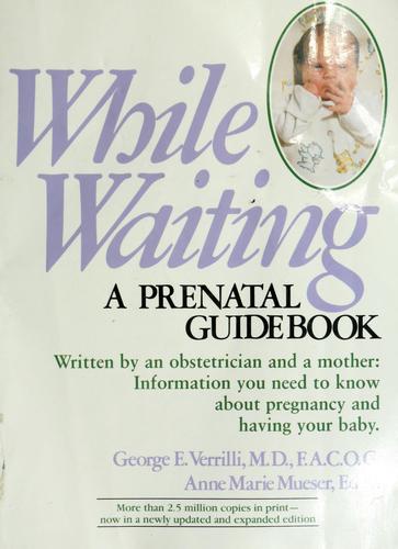 While Waiting: A Prenatal Guidebook: a prenatal guidebook