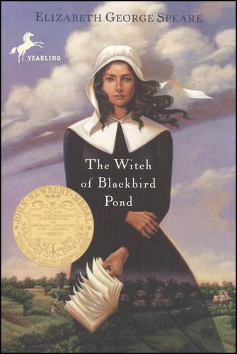 The Witch Of Blackbird Pond