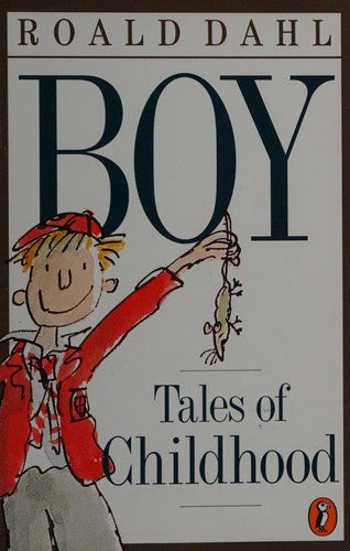 Boy: Tales Of Childhood: tales of childhood