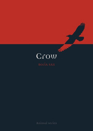 Crow (Animal)