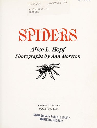Spiders