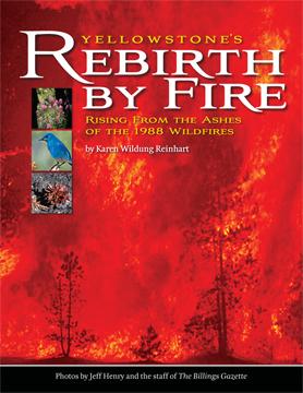 Yellowstone's Rebirth By Fire: Rising From The Ashes Of The 1988 Wildfires: rising from the ashes of the 1988 wildfires