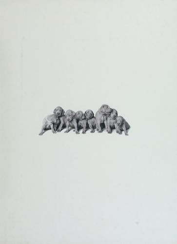 William Wegman Puppies