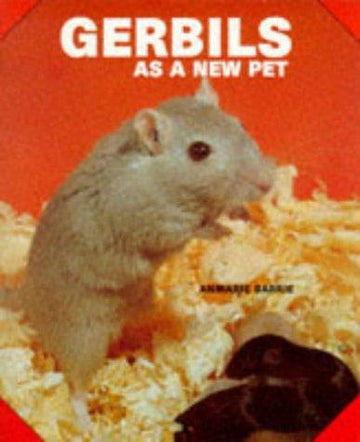 Gerbils As A New Pet
