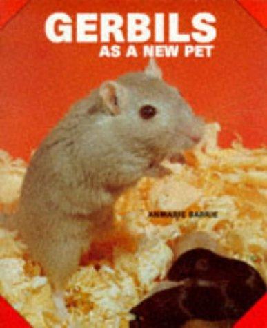 Gerbils As A New Pet