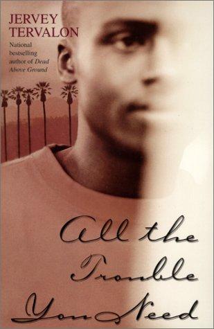 All The Trouble You Need: A Novel