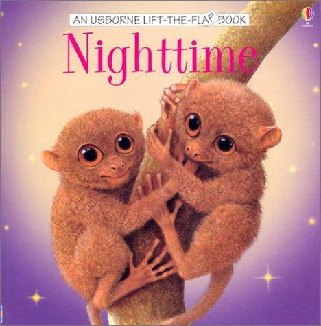 Nighttime: (Lift-the-Flap)