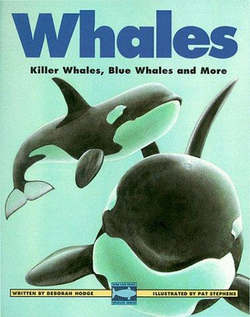 Whales: Killer Whales, Blue Whales And More