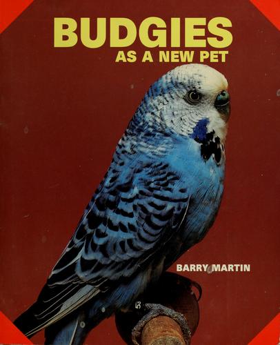 Budgies As A New Pet