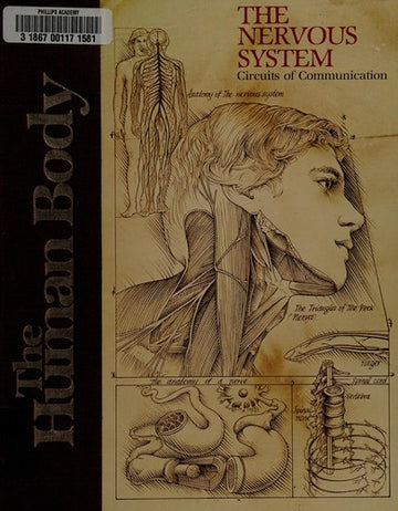 The Human Body: The Nervous System