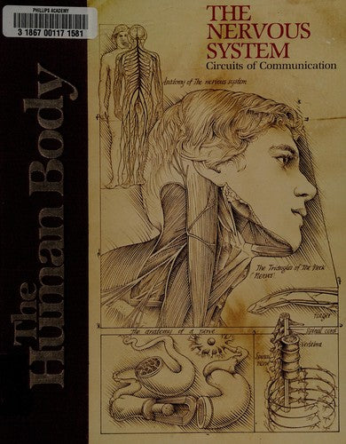 The Human Body: The Nervous System