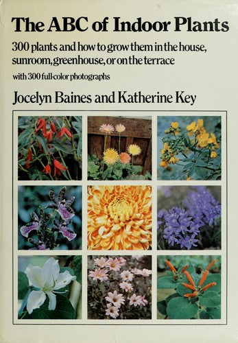 The Abc Of Indoor Plants