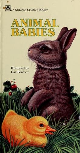 Animal Babies (Golden Sturdy Book)