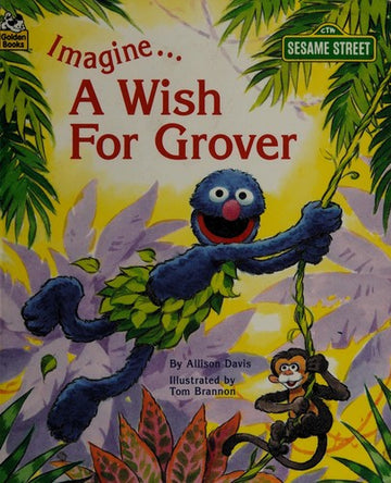 Imagine-- A Wish For Grover