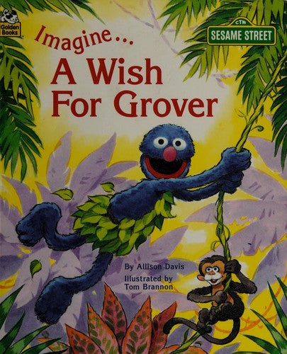 Imagine-- A Wish For Grover