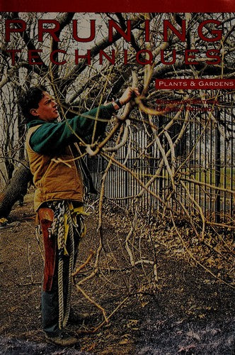Pruning Techniques