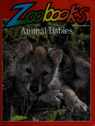 Animal Babies (Zoobooks Series)