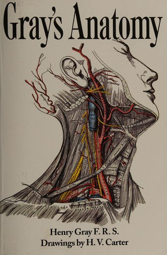 Grays Anatomy