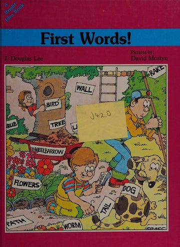 First Words! (Bright Idea Book)