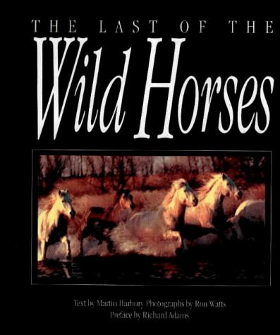 The Last Of The Wild Horses