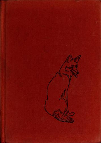 Sundance Coyote
