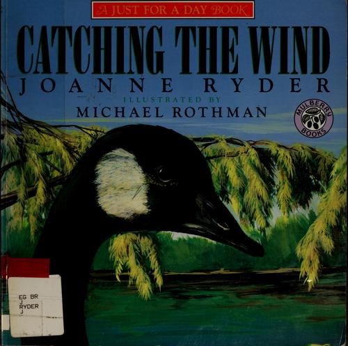 Catching The Wind