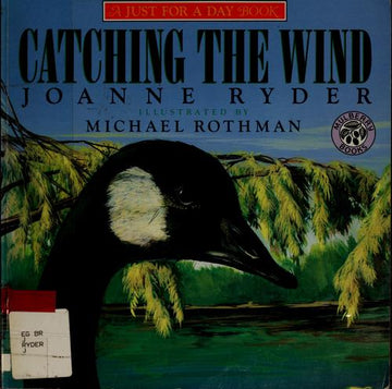 Catching The Wind