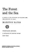 The Forest And The Sea