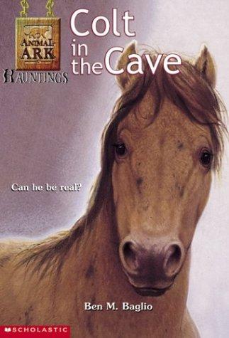 Colt In The Cave (Animal Ark Hauntings, #4)