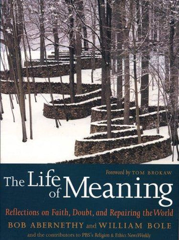 The Life Of Meaning: Reflections On Faith, Doubt, And Repairing The World: reflections on faith, doubt, and repairing the world