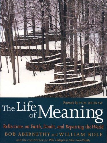 The Life Of Meaning: Reflections On Faith, Doubt, And Repairing The World: reflections on faith, doubt, and repairing the world