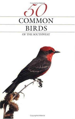 50 Common Birds Of The Southwest