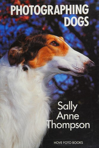 Photographing Dogs