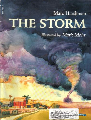 The Storm