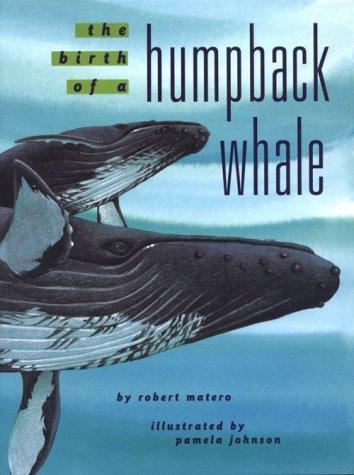 The Birth Of A Humpback Whale