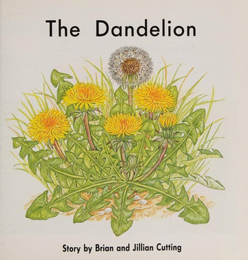 The Dandelion