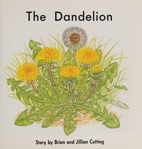 The Dandelion