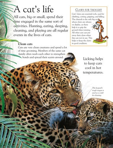 DK Eye Wonder: Big Cats