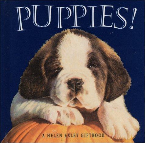 Puppies: (Mini Squares)